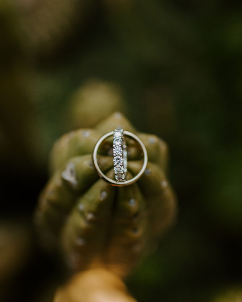 Wedding rings on cactus - Glen Oaks in Big Sur