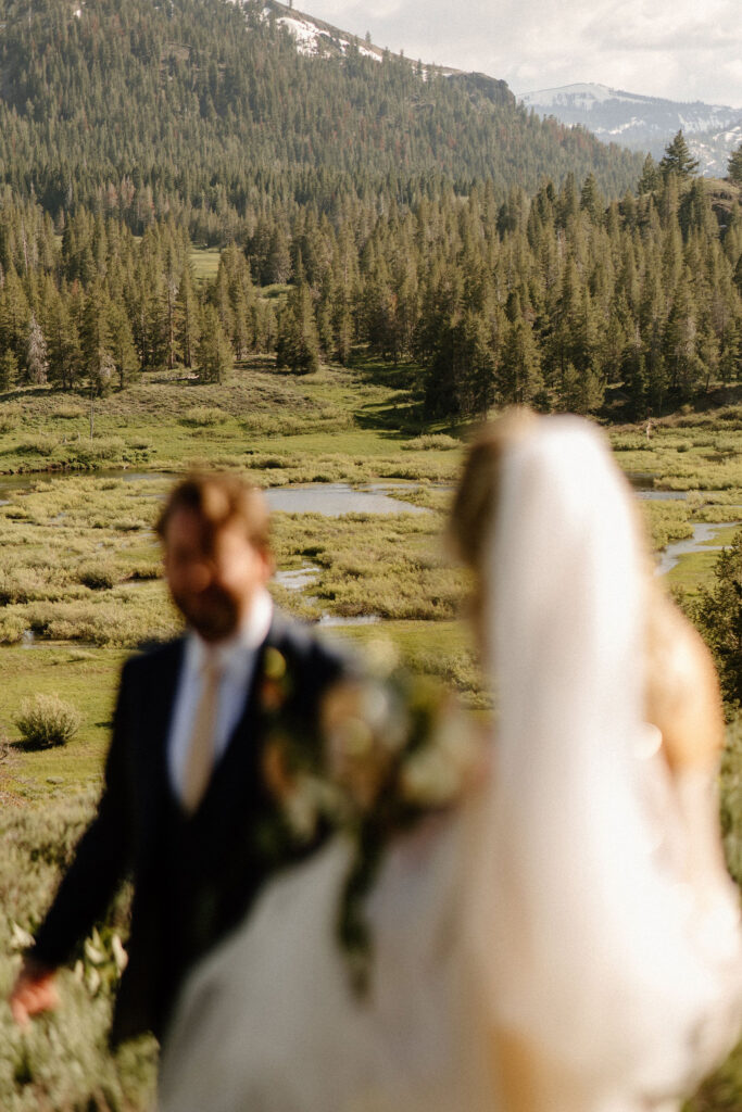 Bride and groom portraits from Dancing Pines wedding near Lake Tahoe, CA