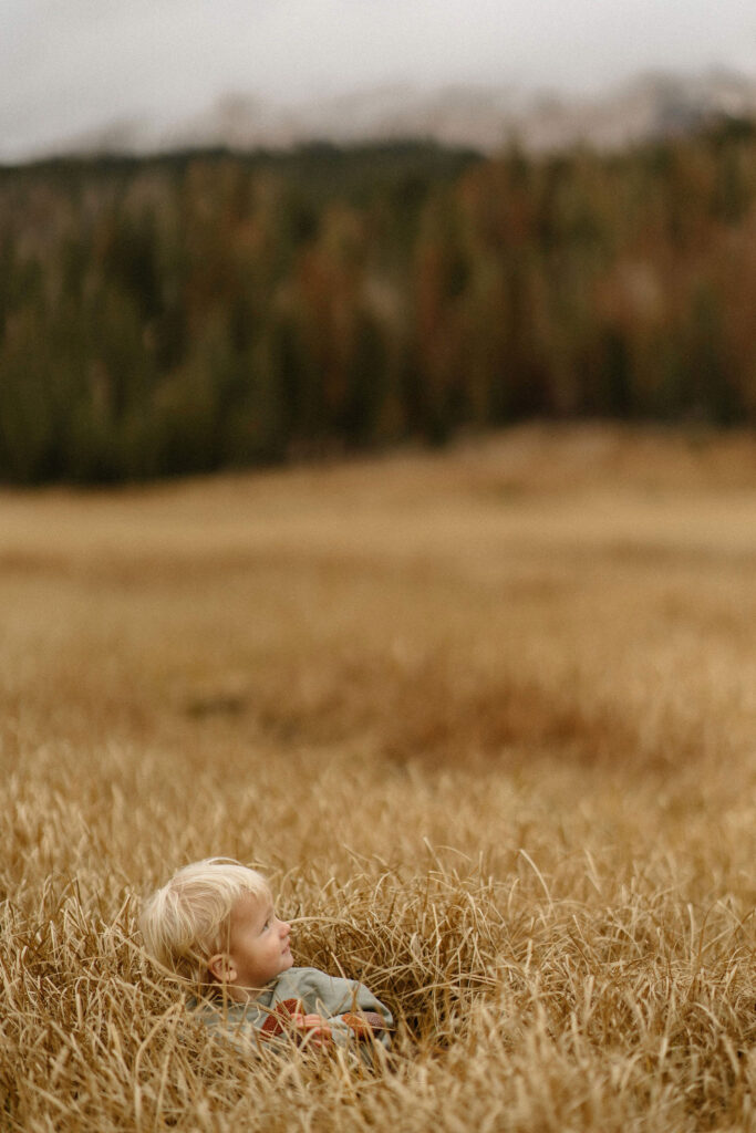 Little boy playing the fields
