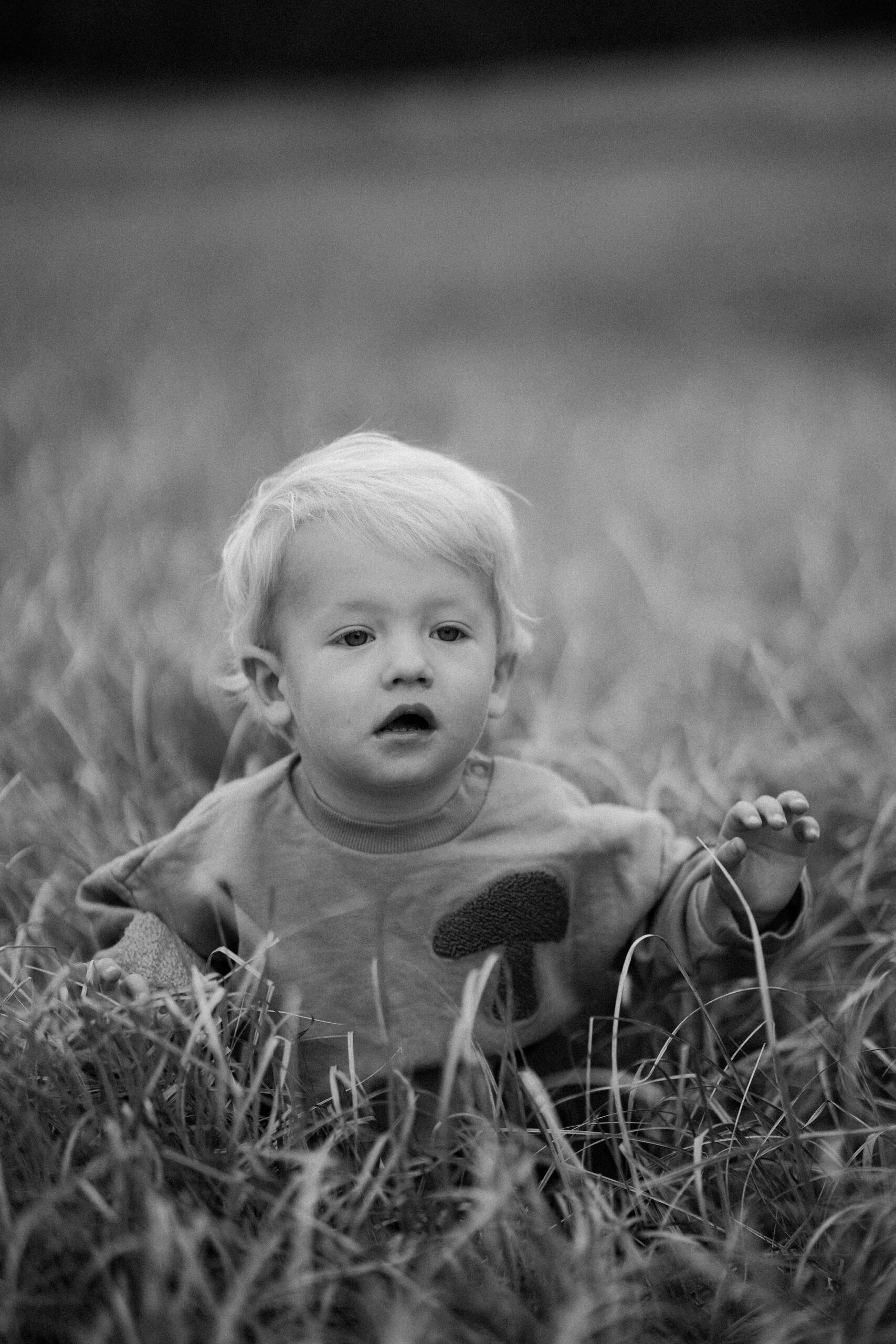 Little boy sitting in the fields of Northern California 
