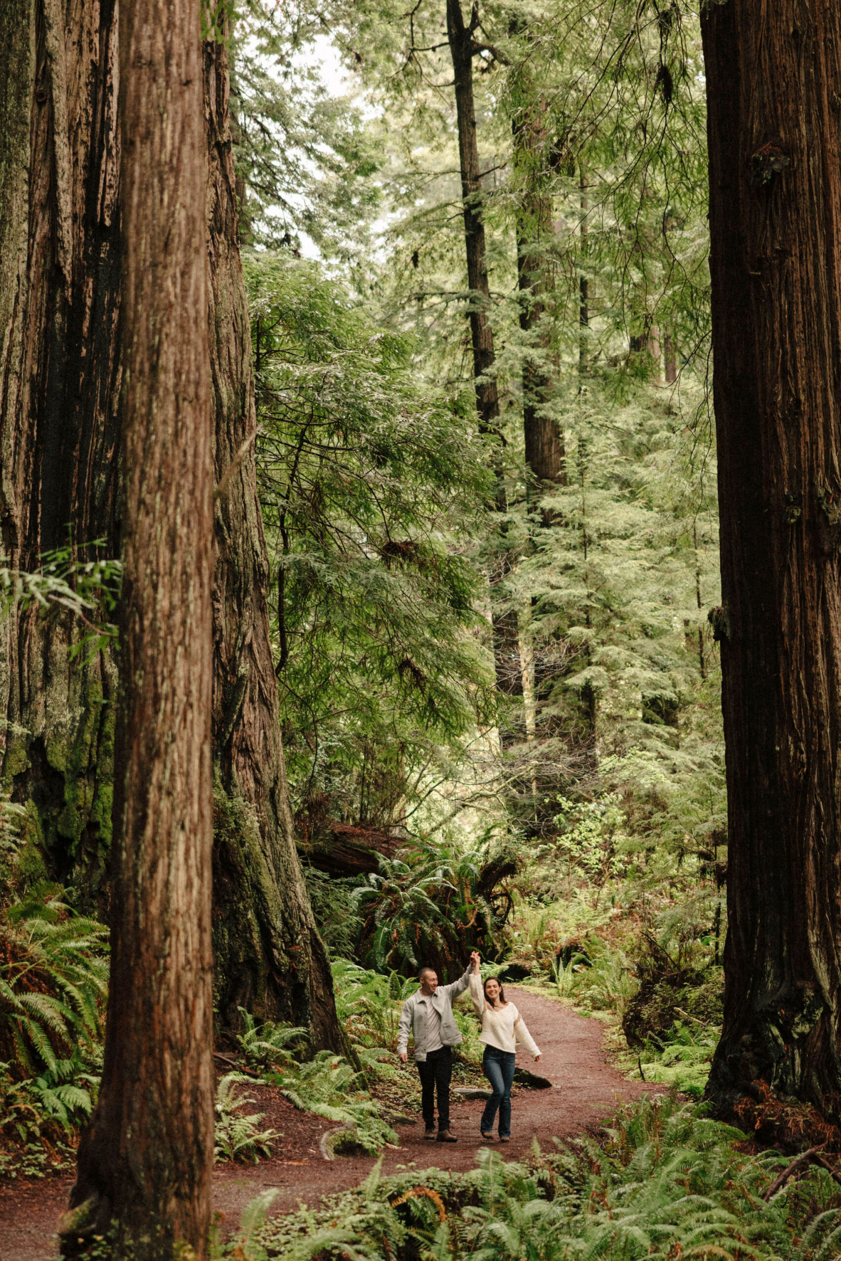 couple pose in the redwood trees during their Redwood forest engagement