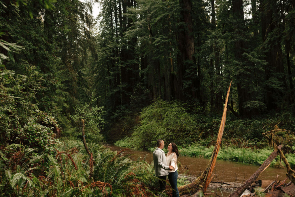 stunning couple pose amongst the gigantic Redwood trees during their documentary style northern california engagement photos