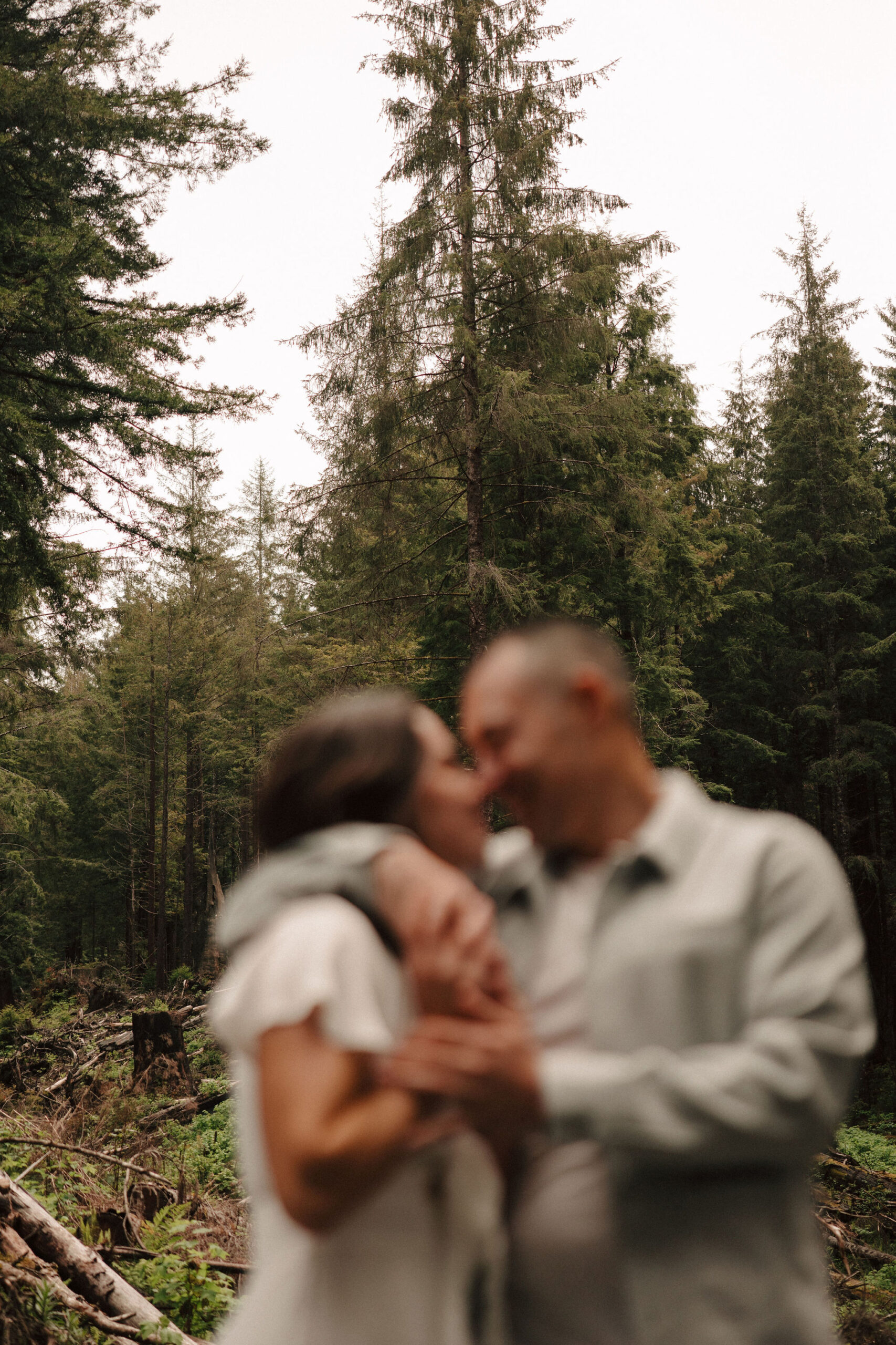 stunning couple pose amongst the gigantic Redwood trees during their documentary style northern california engagement photos