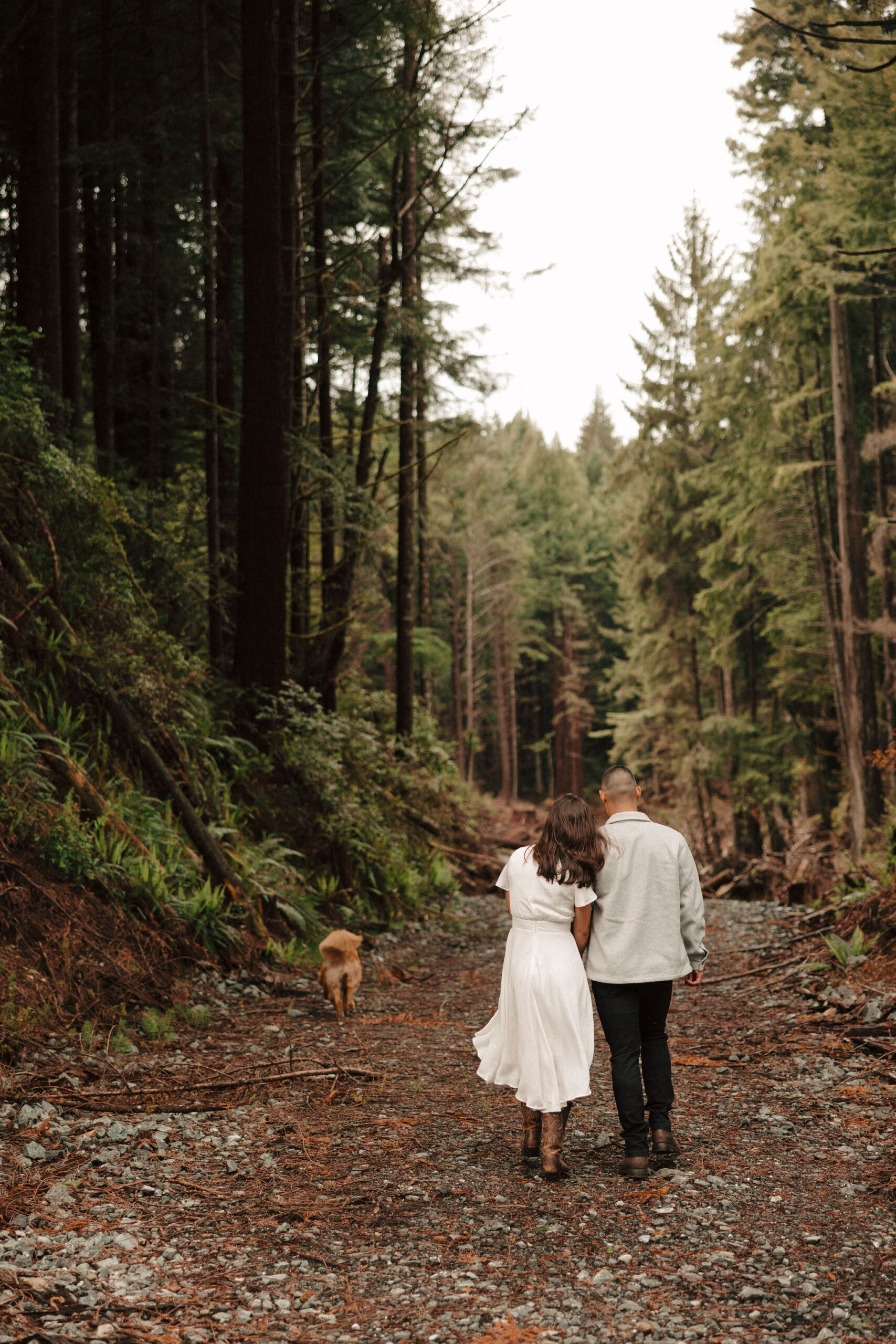 stunning couple pose amongst the gigantic Redwood trees during their documentary style Redwood forest engagement photoshoot