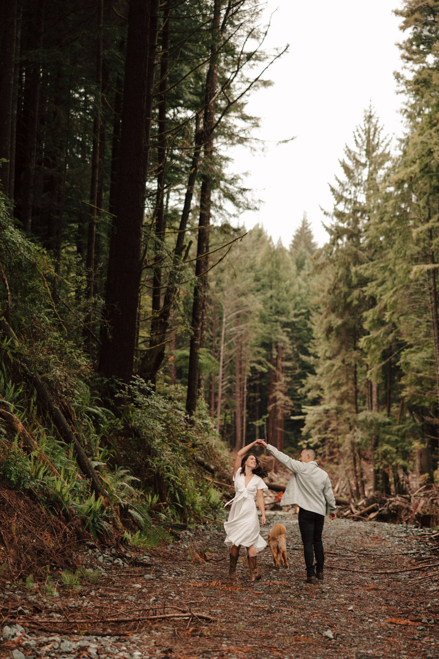 stunning couple pose amongst the gigantic Redwood trees during their documentary style northern california engagement photos