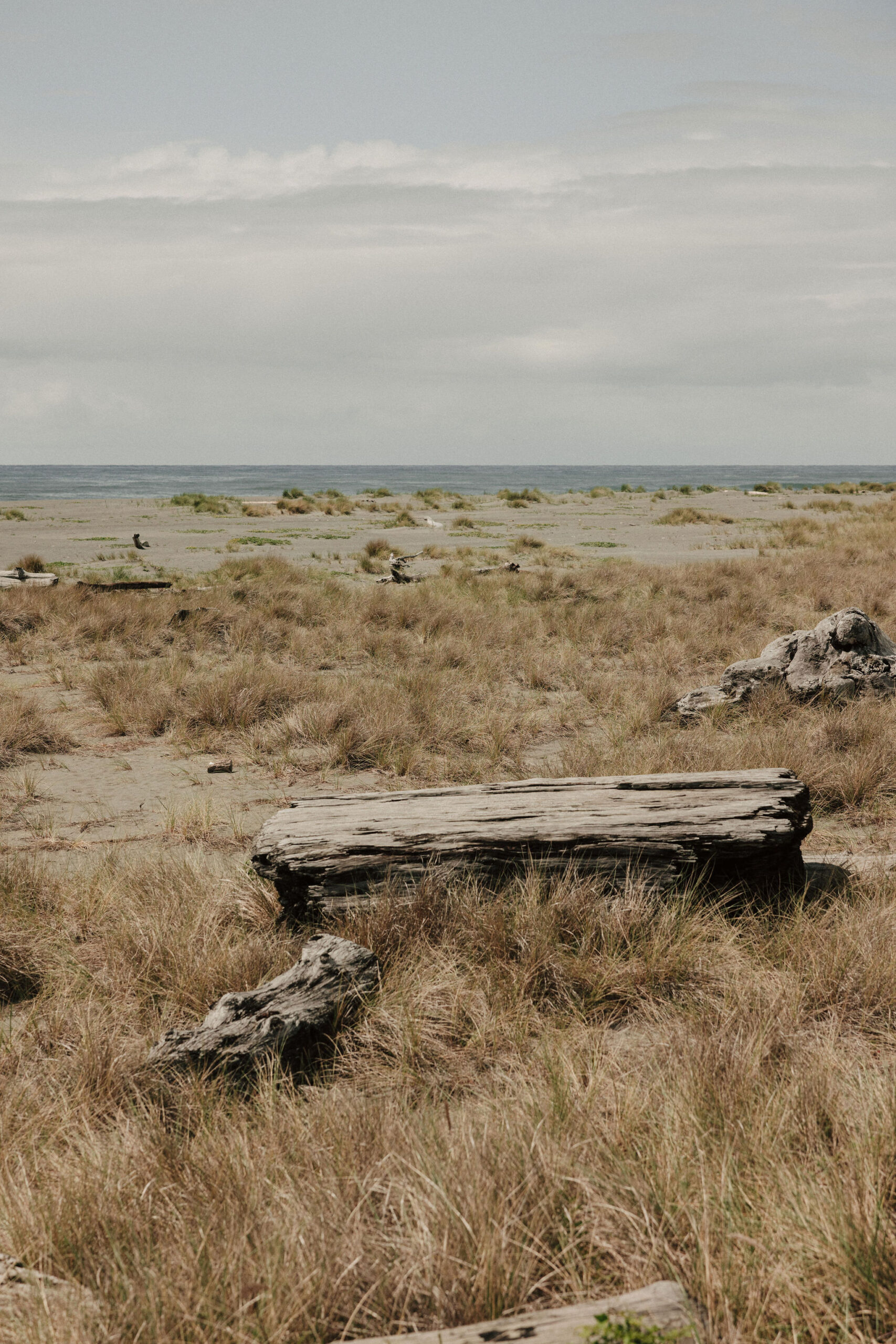 stunning California costal landscape photo