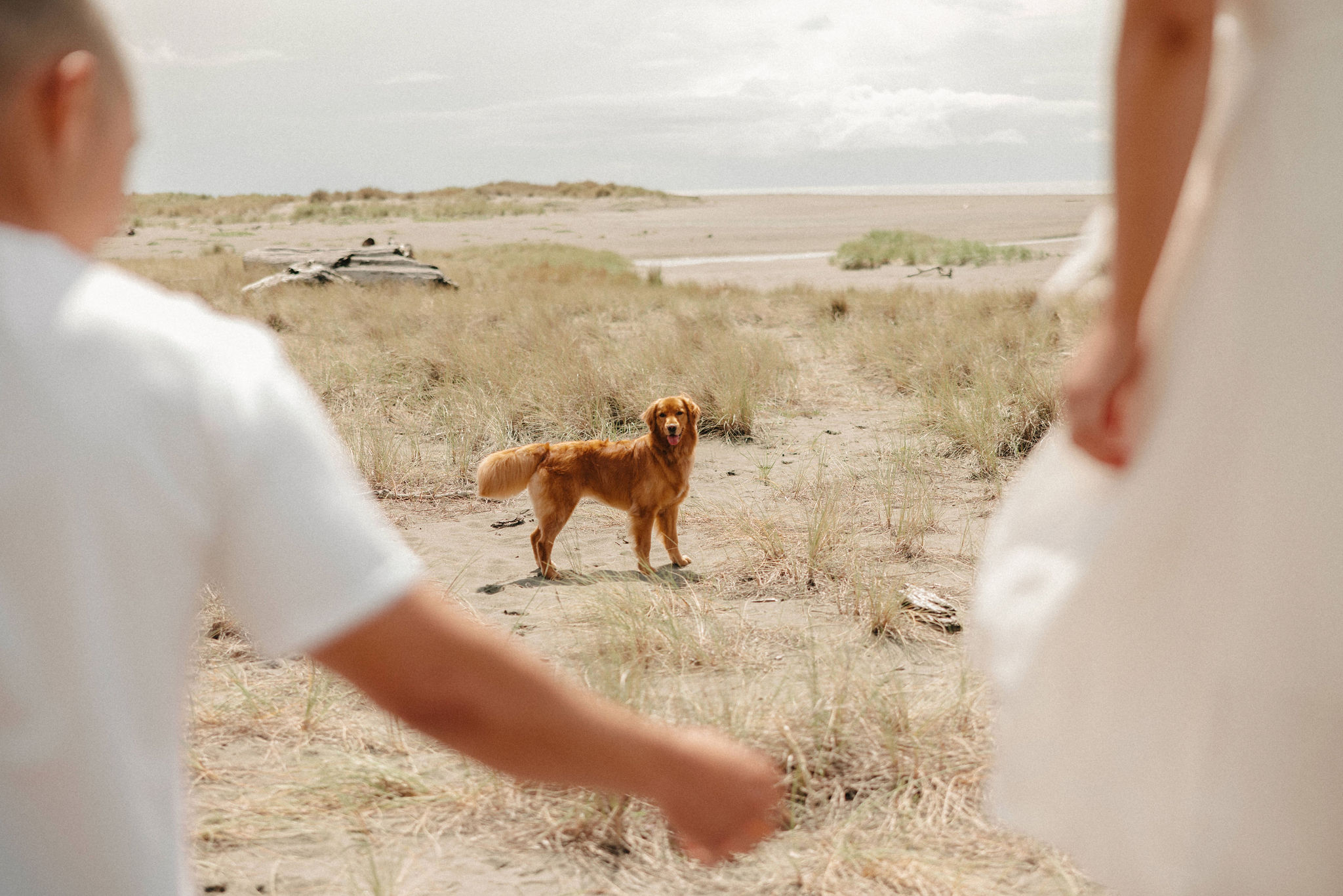 couple pose together on the California coast their beautiful dog