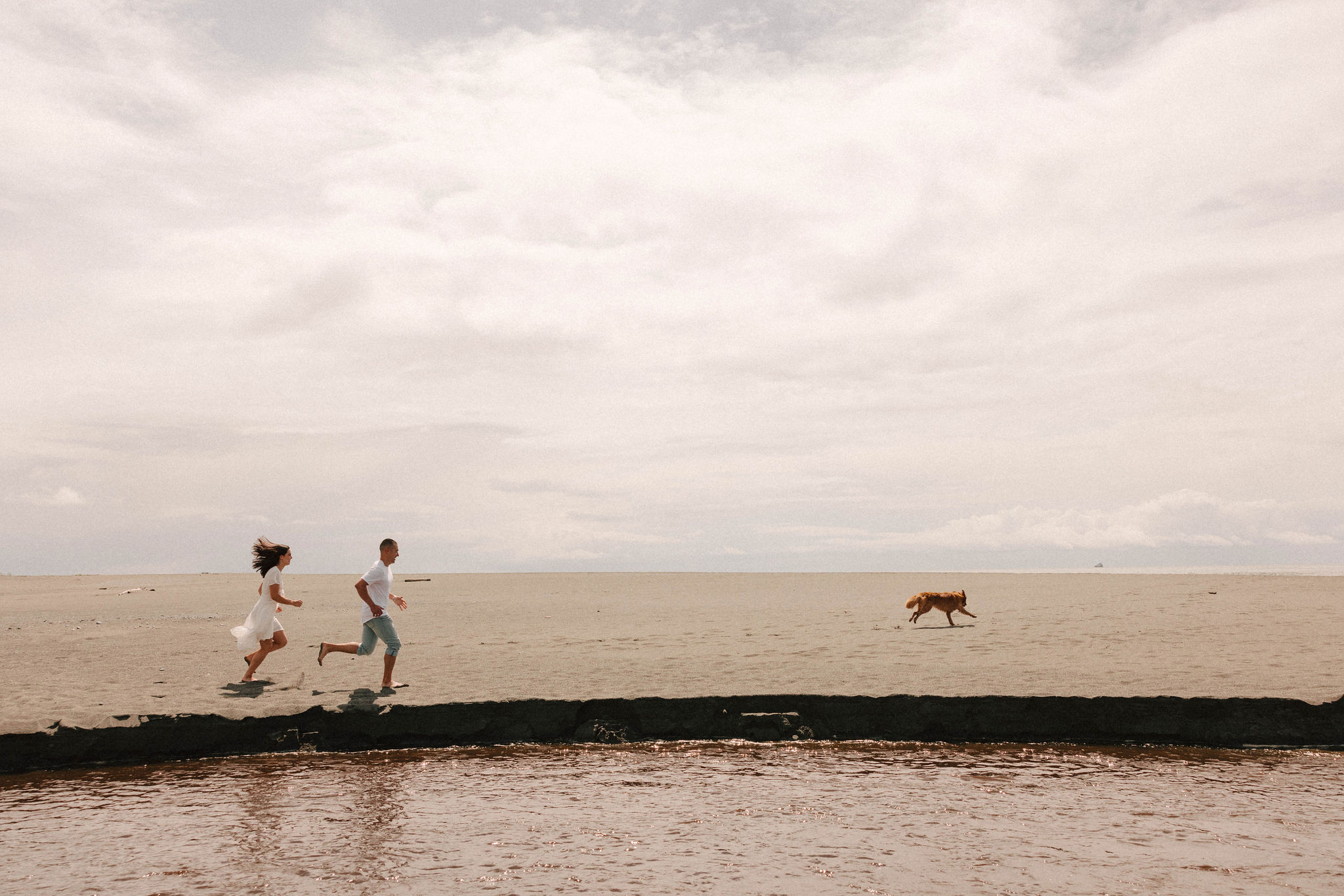 couple run on the california coast with their dog