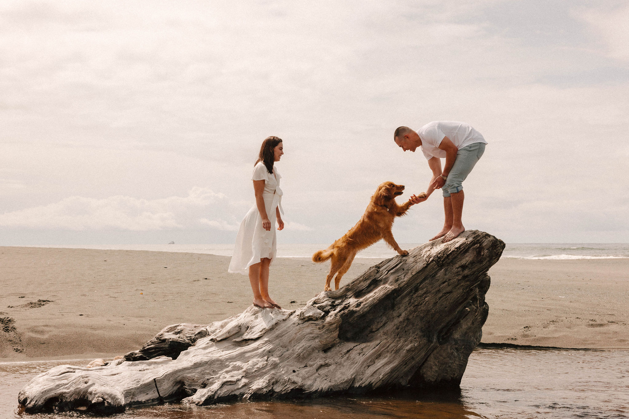 couple pose together on the California coast their beautiful dog