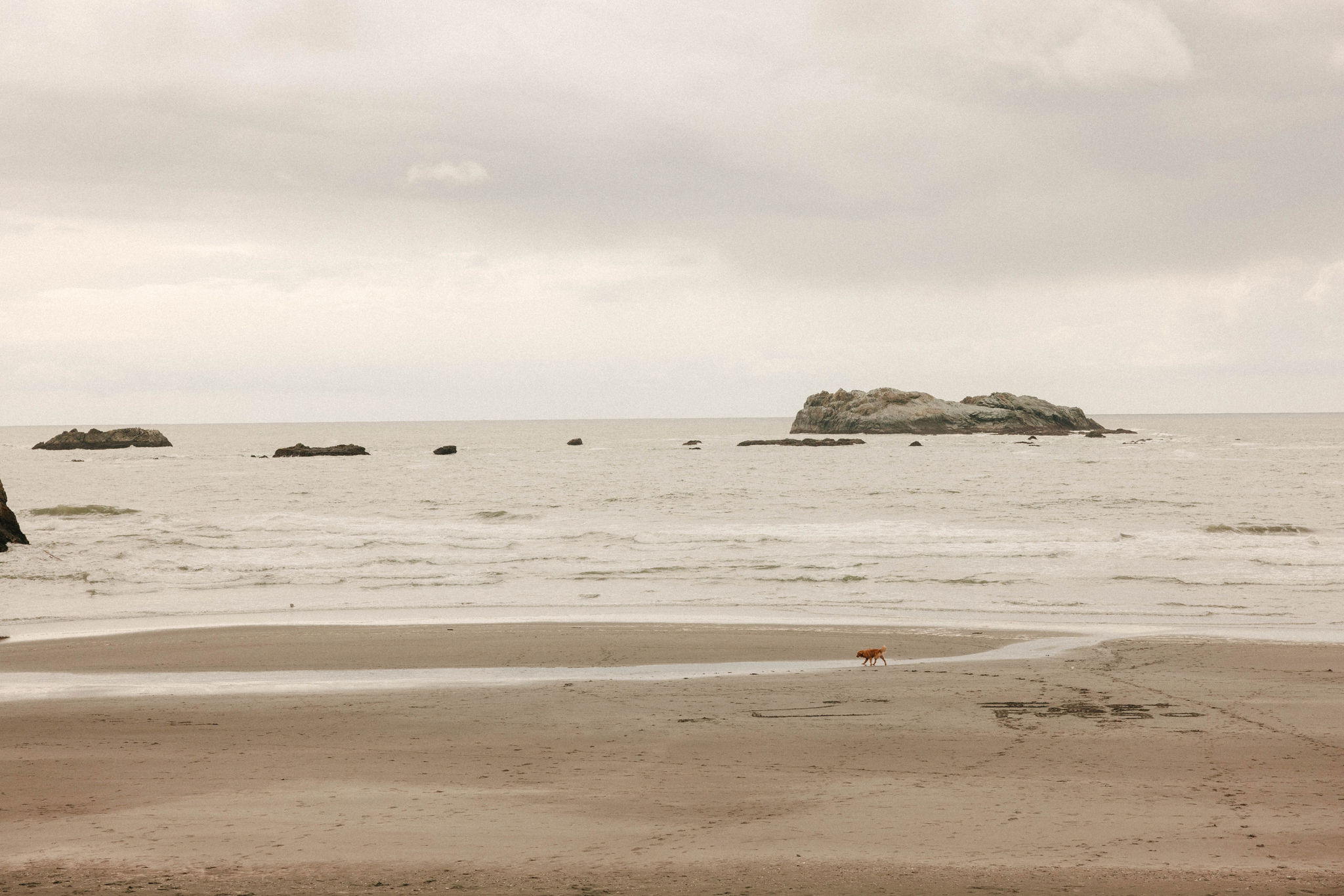 stunning California costal landscape photo