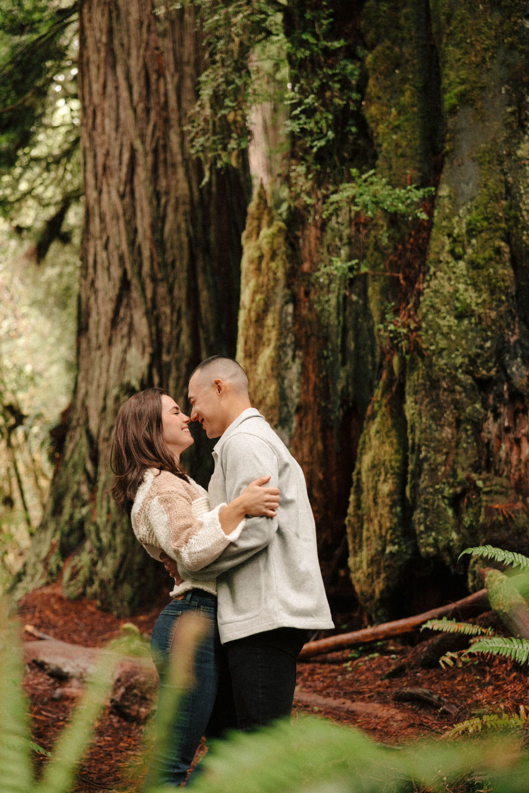 stunning couple pose amongst the gigantic Redwood trees during their documentary style northern california engagement photos