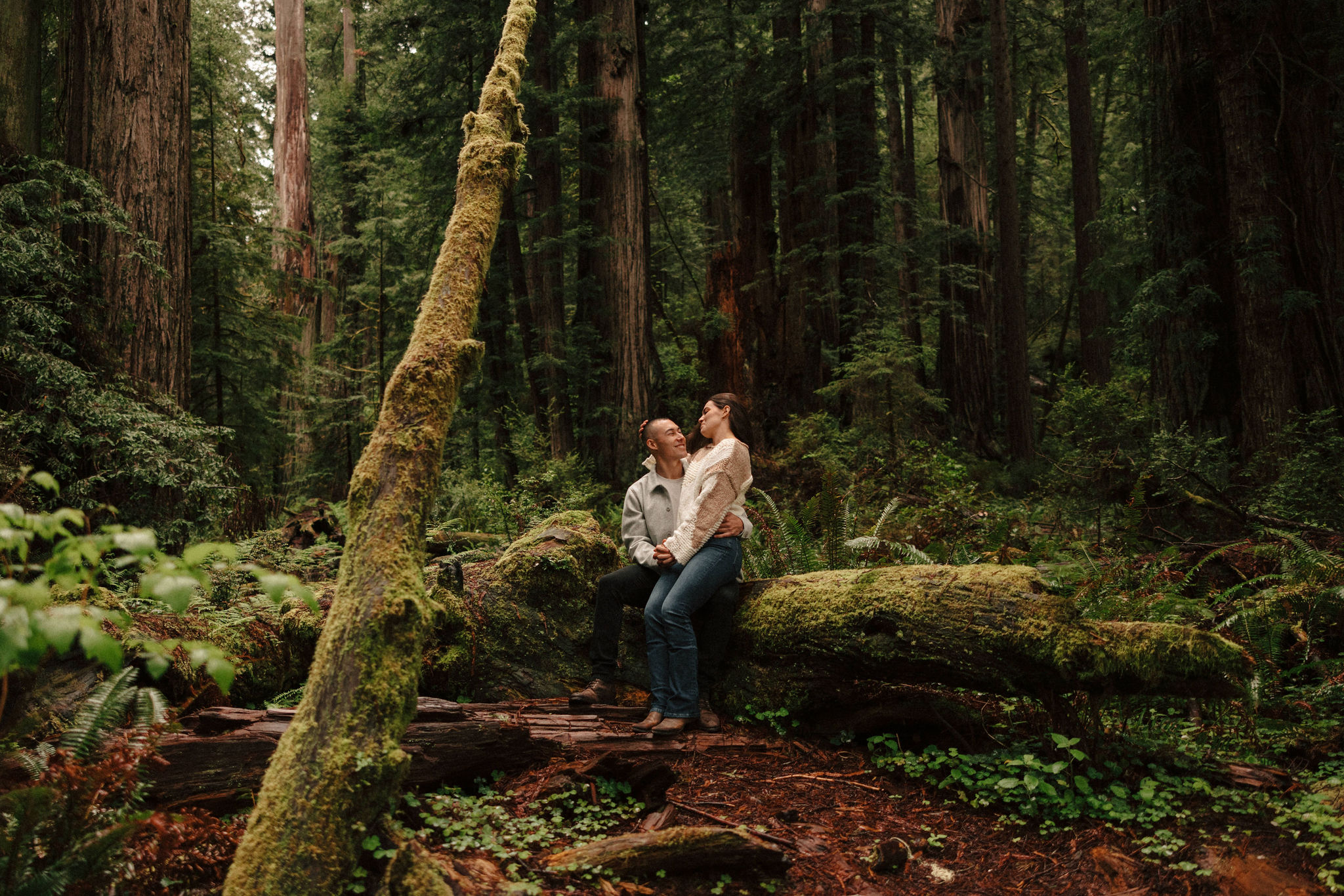 stunning couple pose amongst the gigantic Redwood trees during their documentary style Redwood forest engagement photoshoot