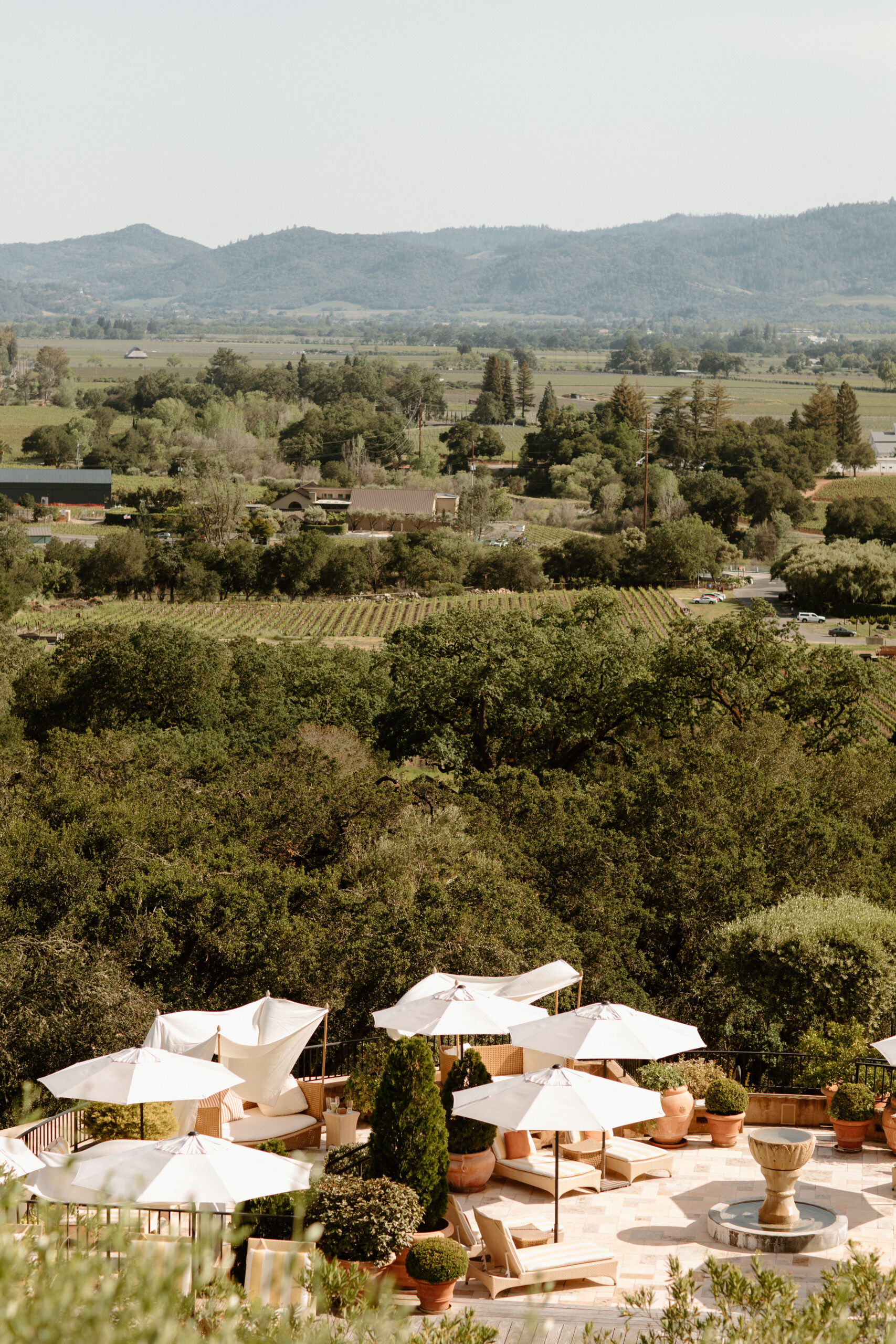 stunning california winery shot