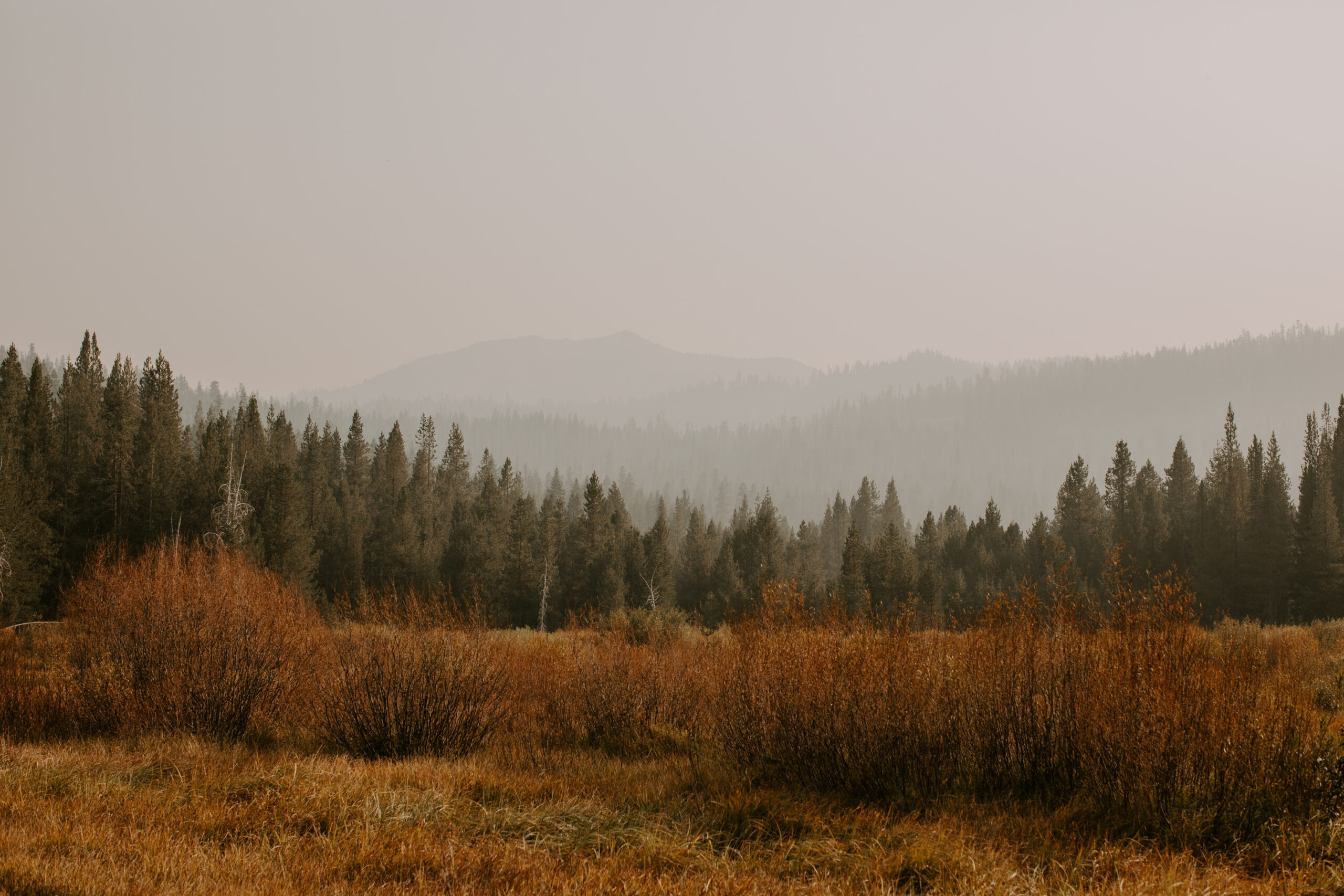 Top 6 outdoor Northern California maternity photoshoot locations