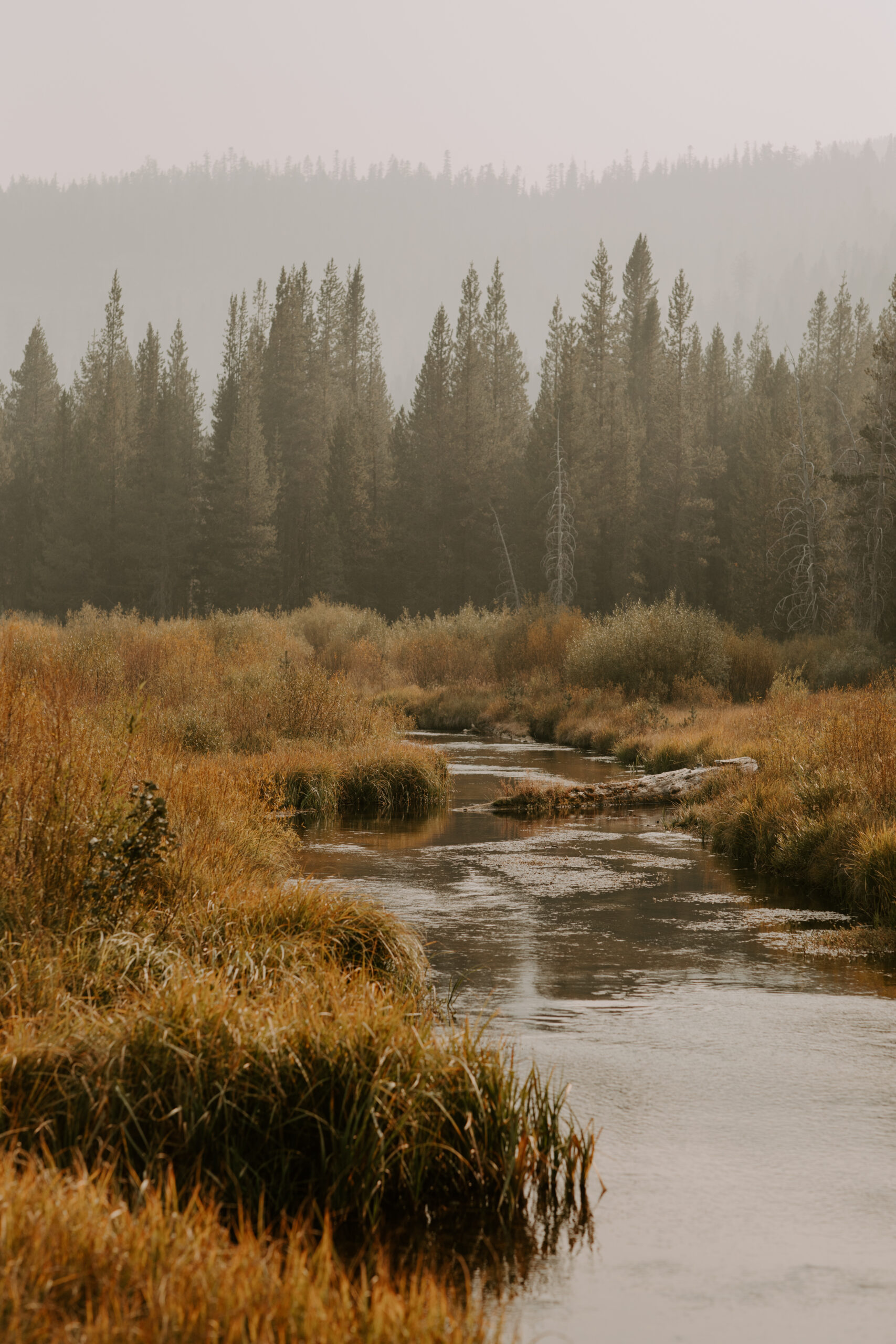 Top 6 outdoor Northern California maternity photoshoot locations