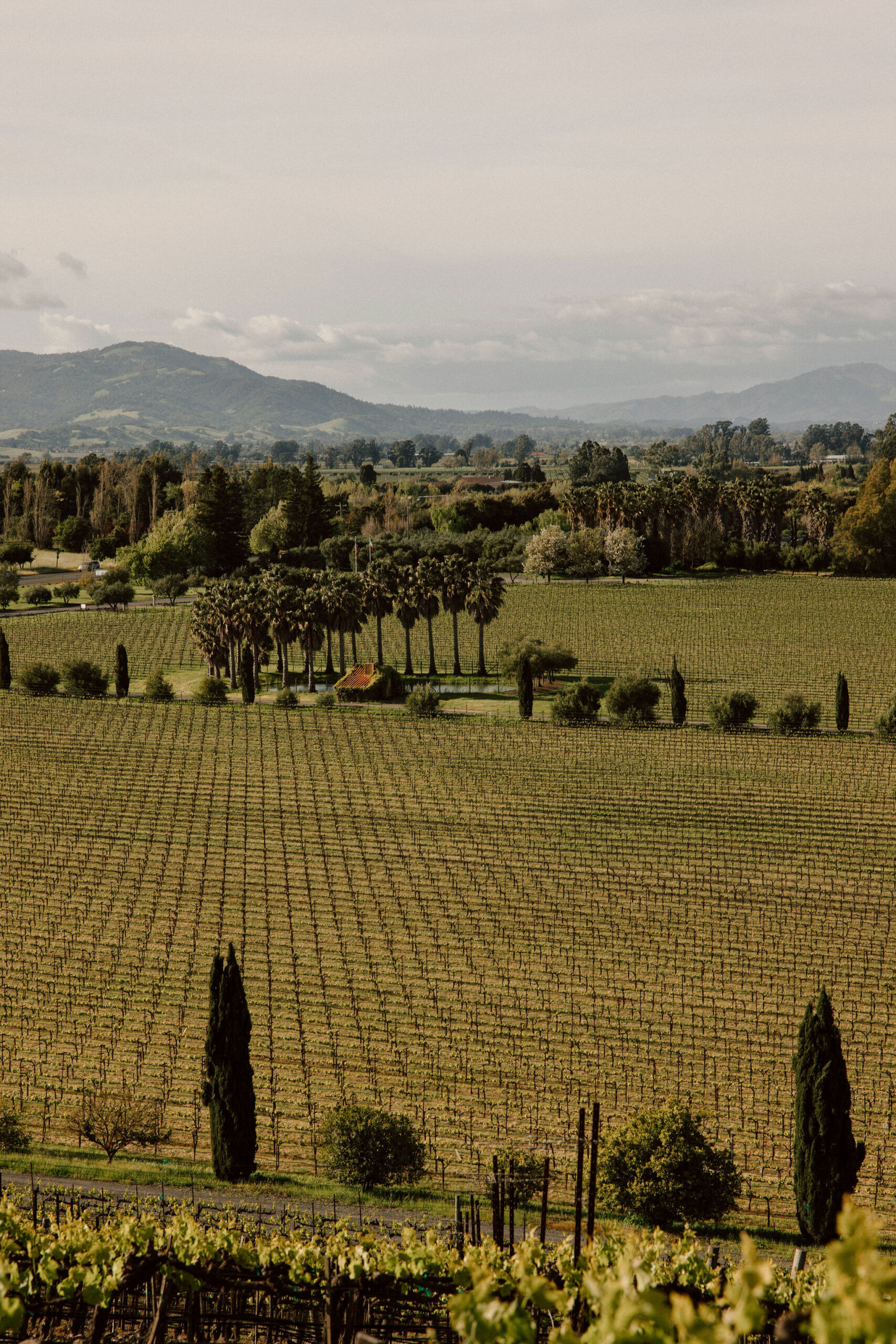 stunning California winery wedding venue