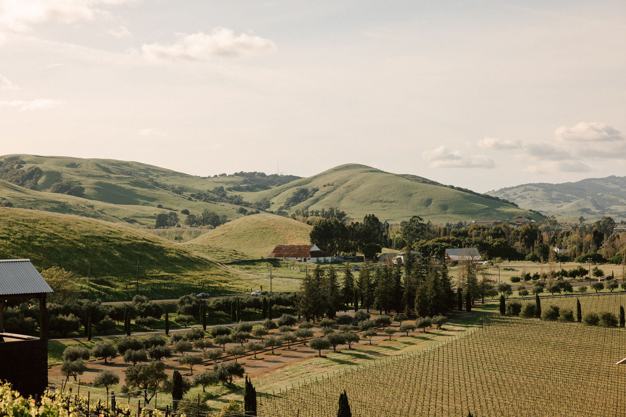 stunning California winery wedding venue