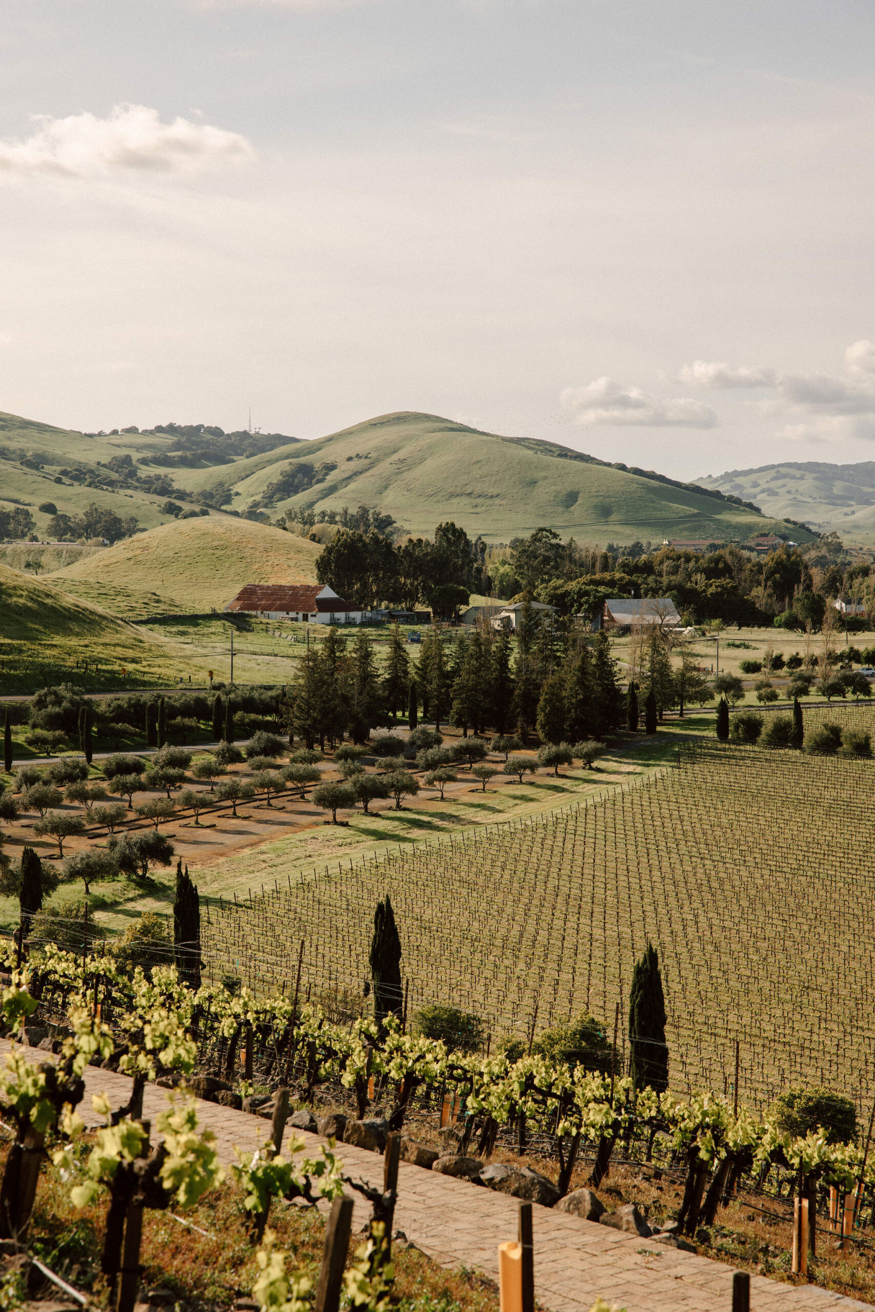 stunning California winery wedding venue