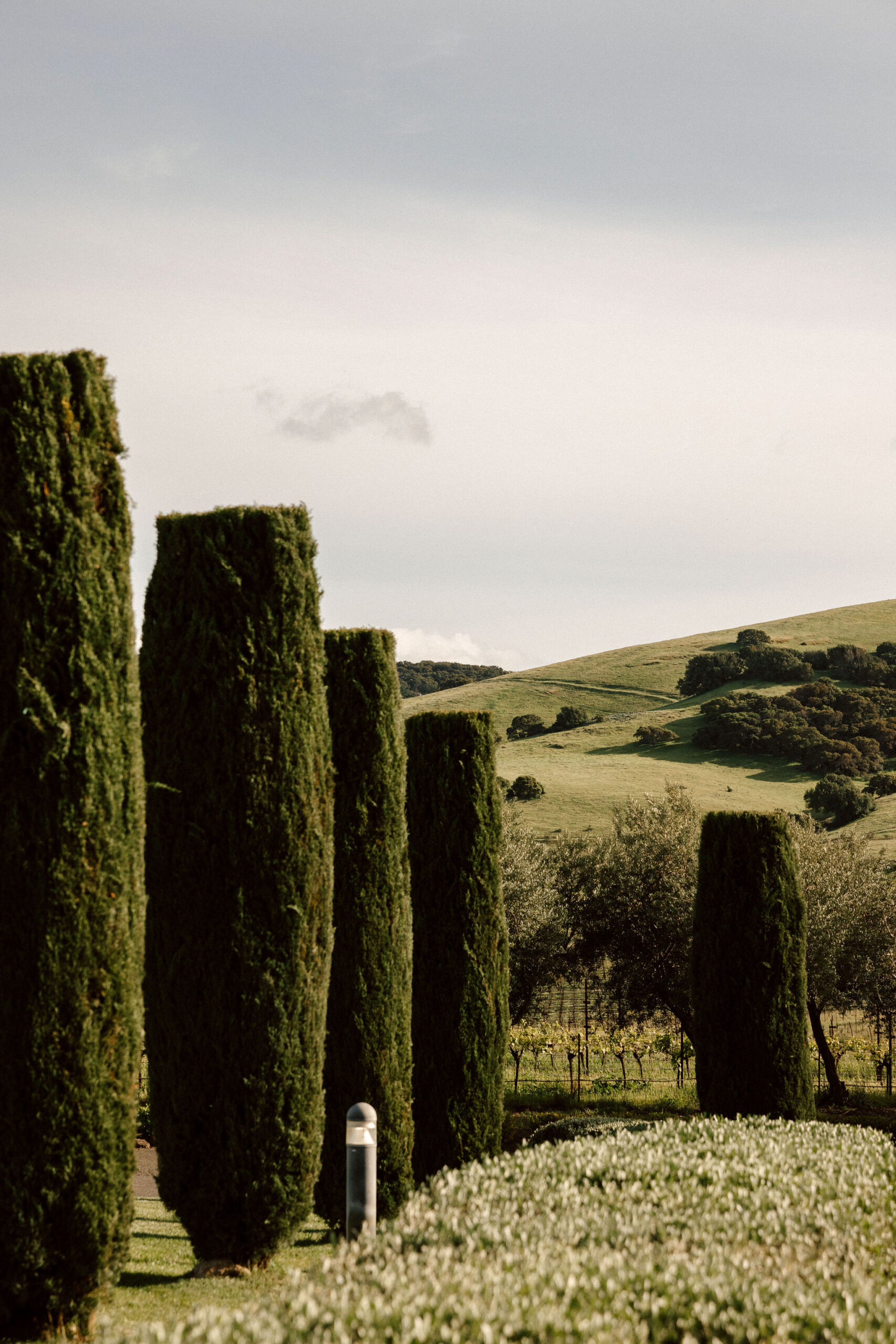 stunning California winery wedding venue