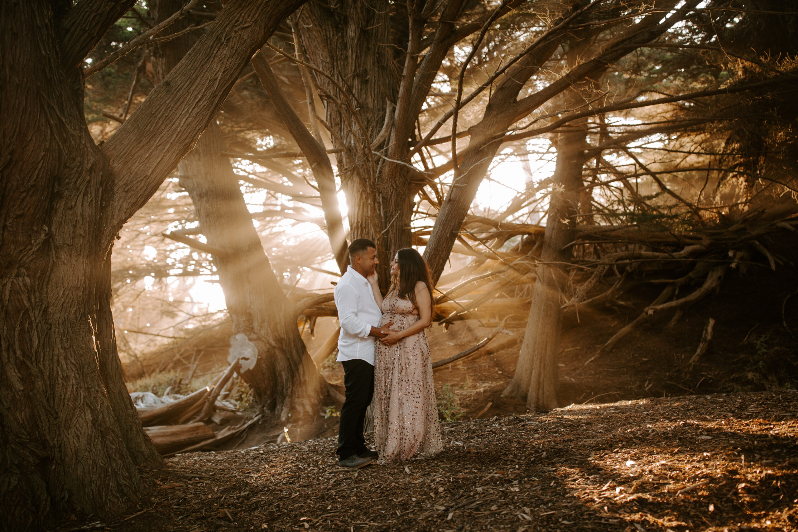 stunning couple pose together during their outdoor Northern California maternity photoshoot