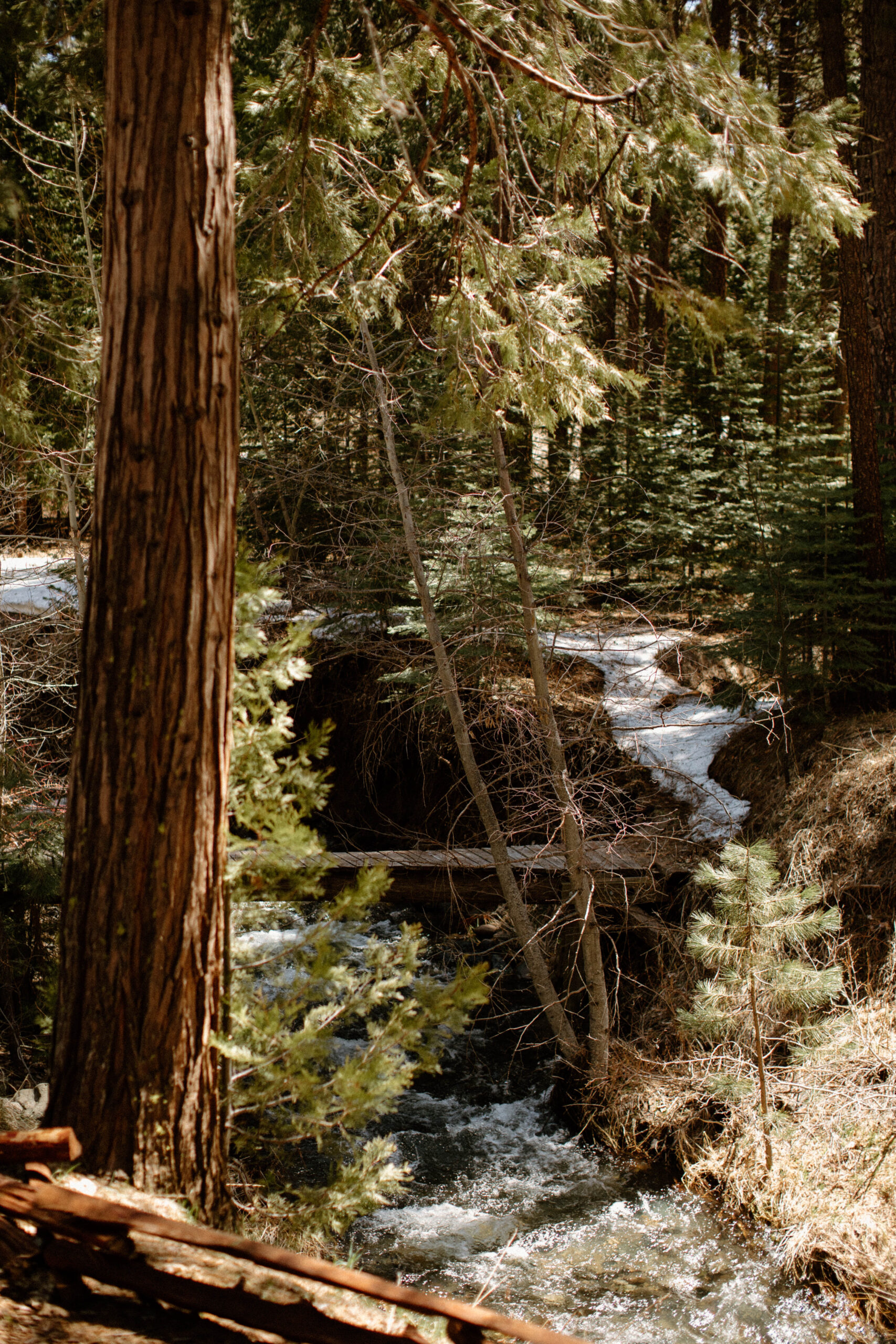 timeless wedding details of a Lake Tahoe wedding day