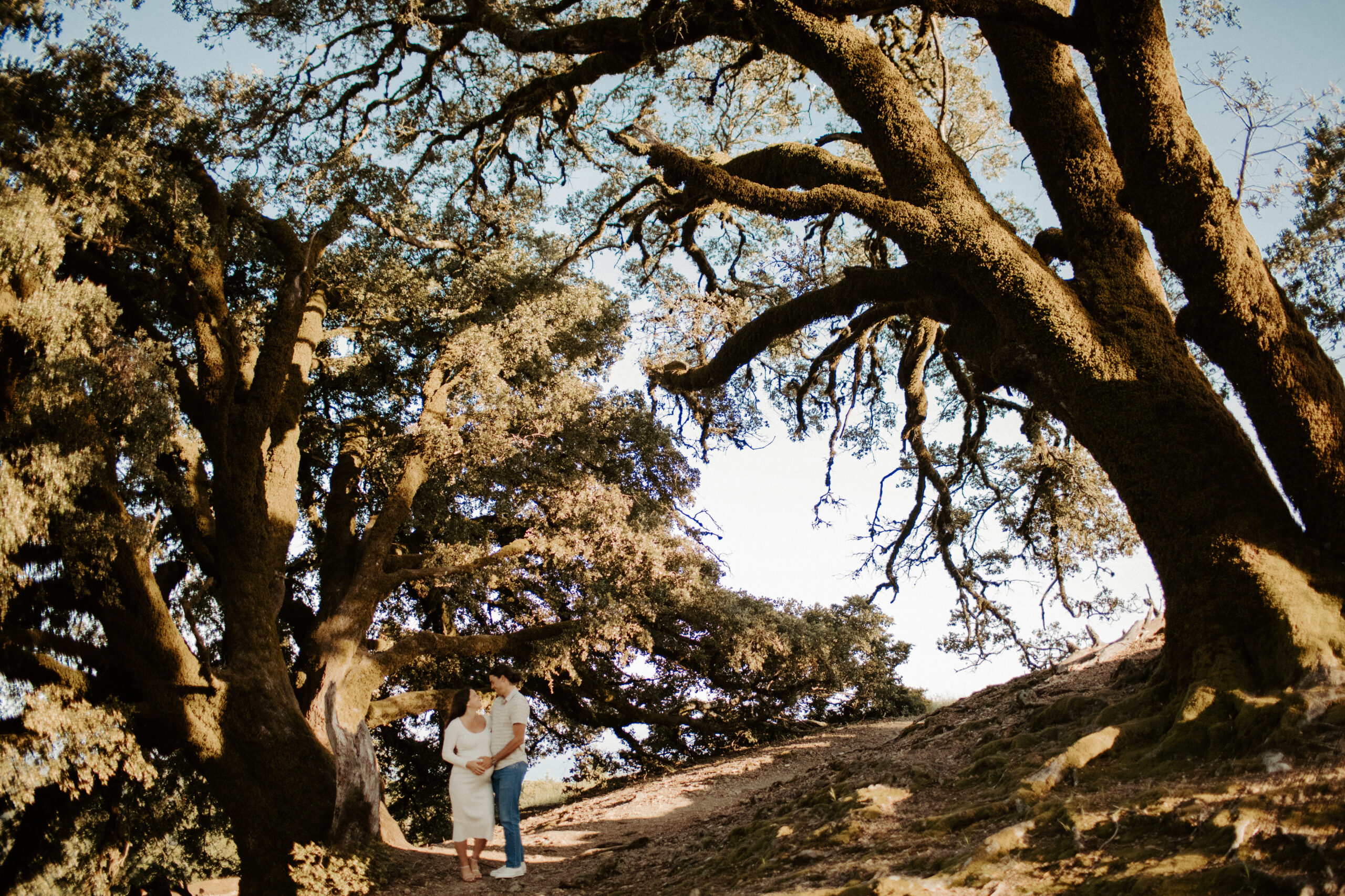 Top 6 outdoor Northern California maternity photoshoot locations