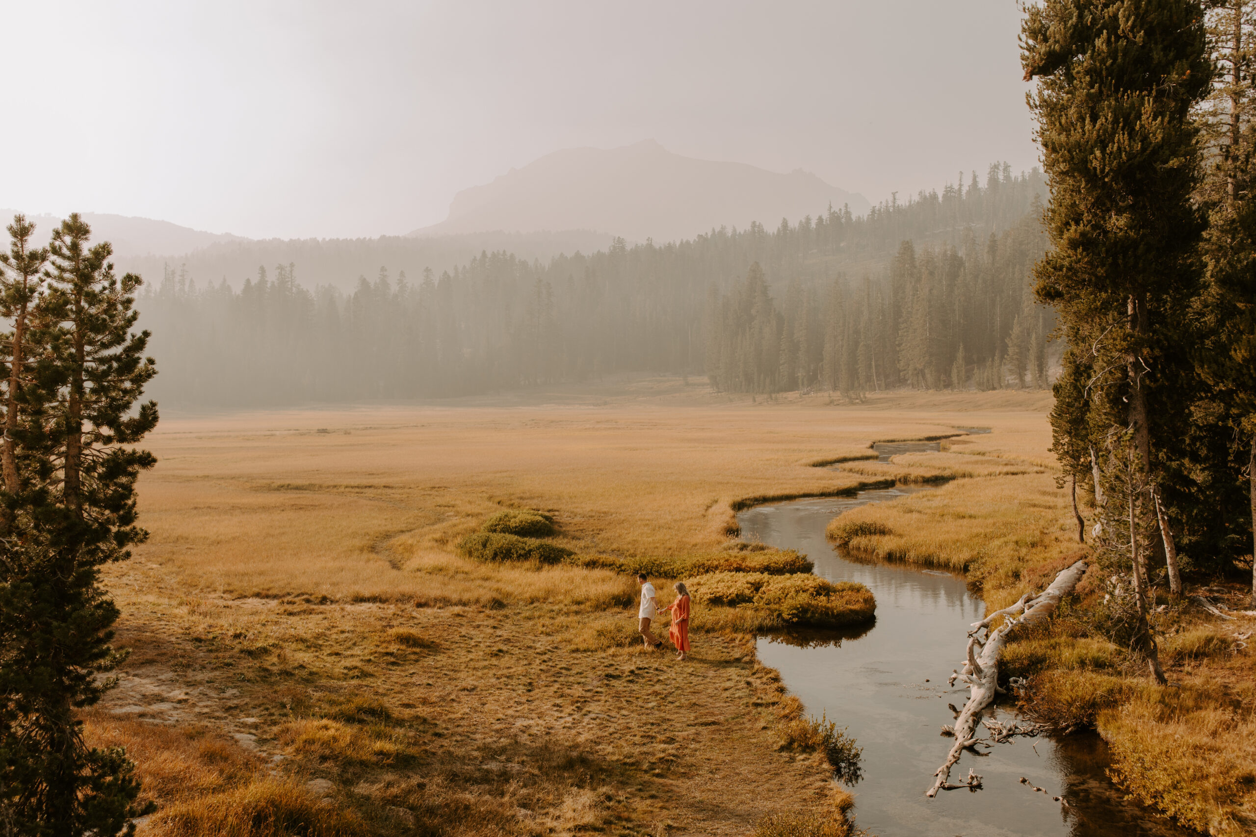 Top 6 outdoor Northern California maternity photoshoot locations