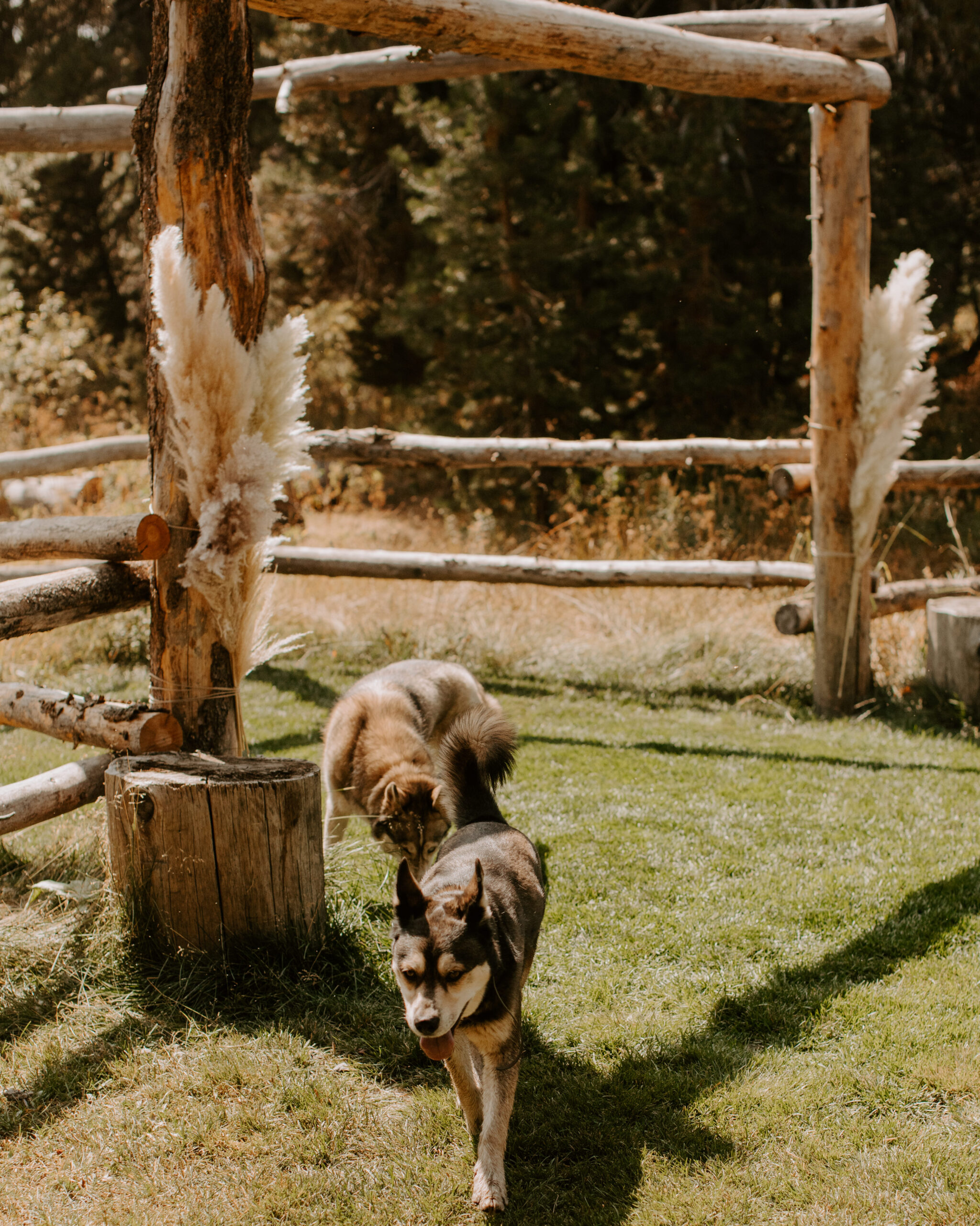 timeless wedding details of a Lake Tahoe wedding day