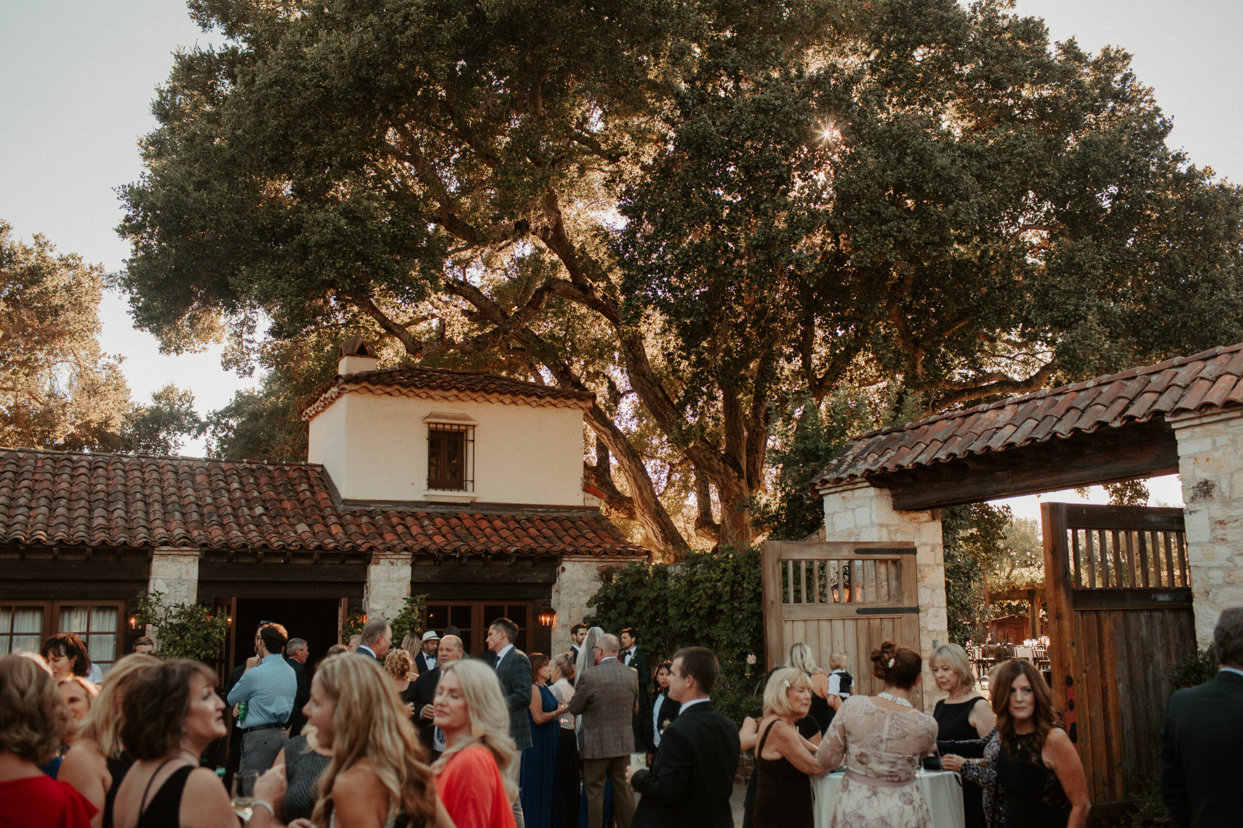 photos from a dreamy California wedding day