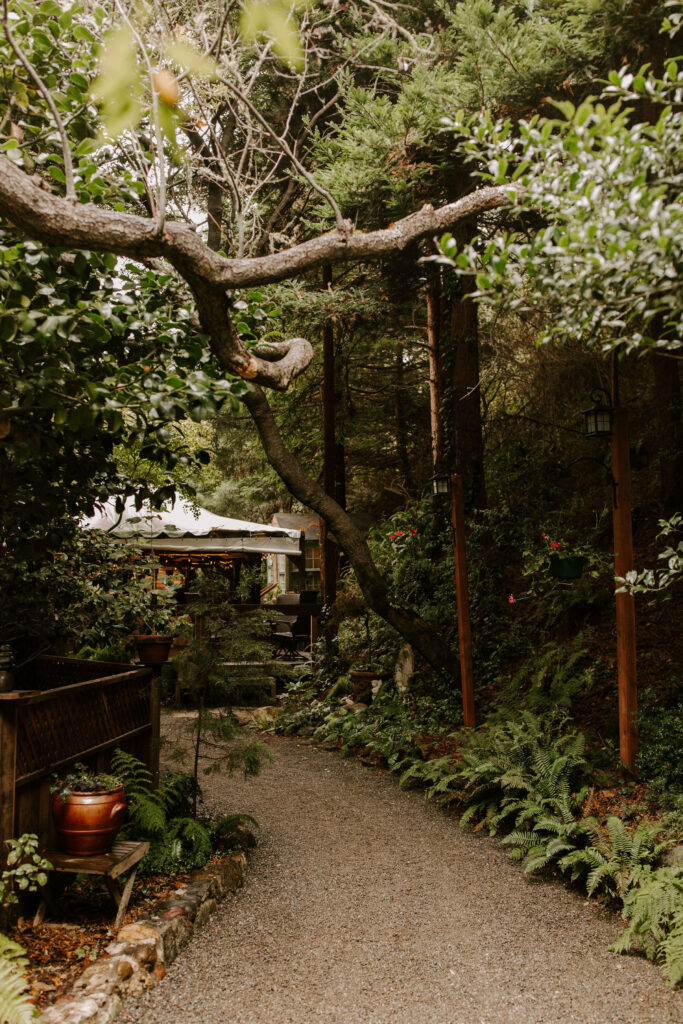 stunning Bay Area views from a dreamy California wedding day