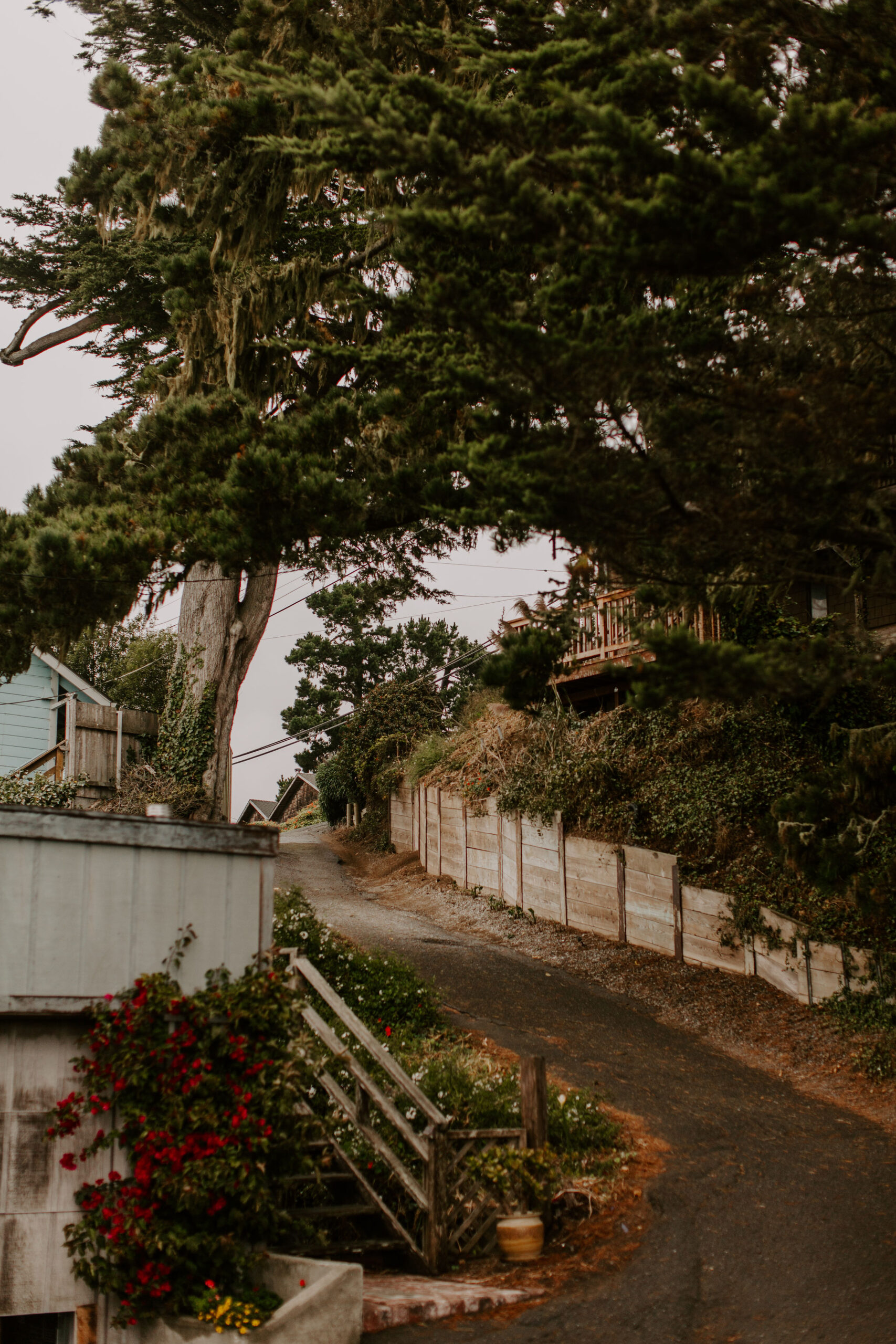 stunning Bay Area views from a dreamy California wedding day