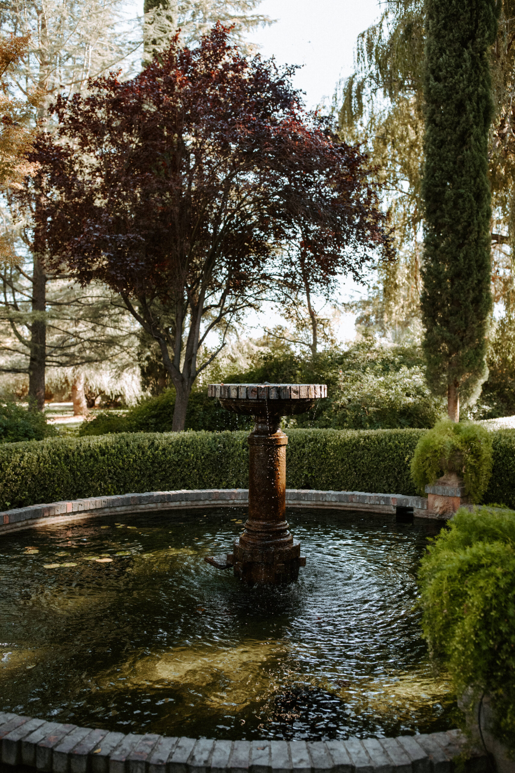 stunning Bay Area views from a dreamy California wedding day