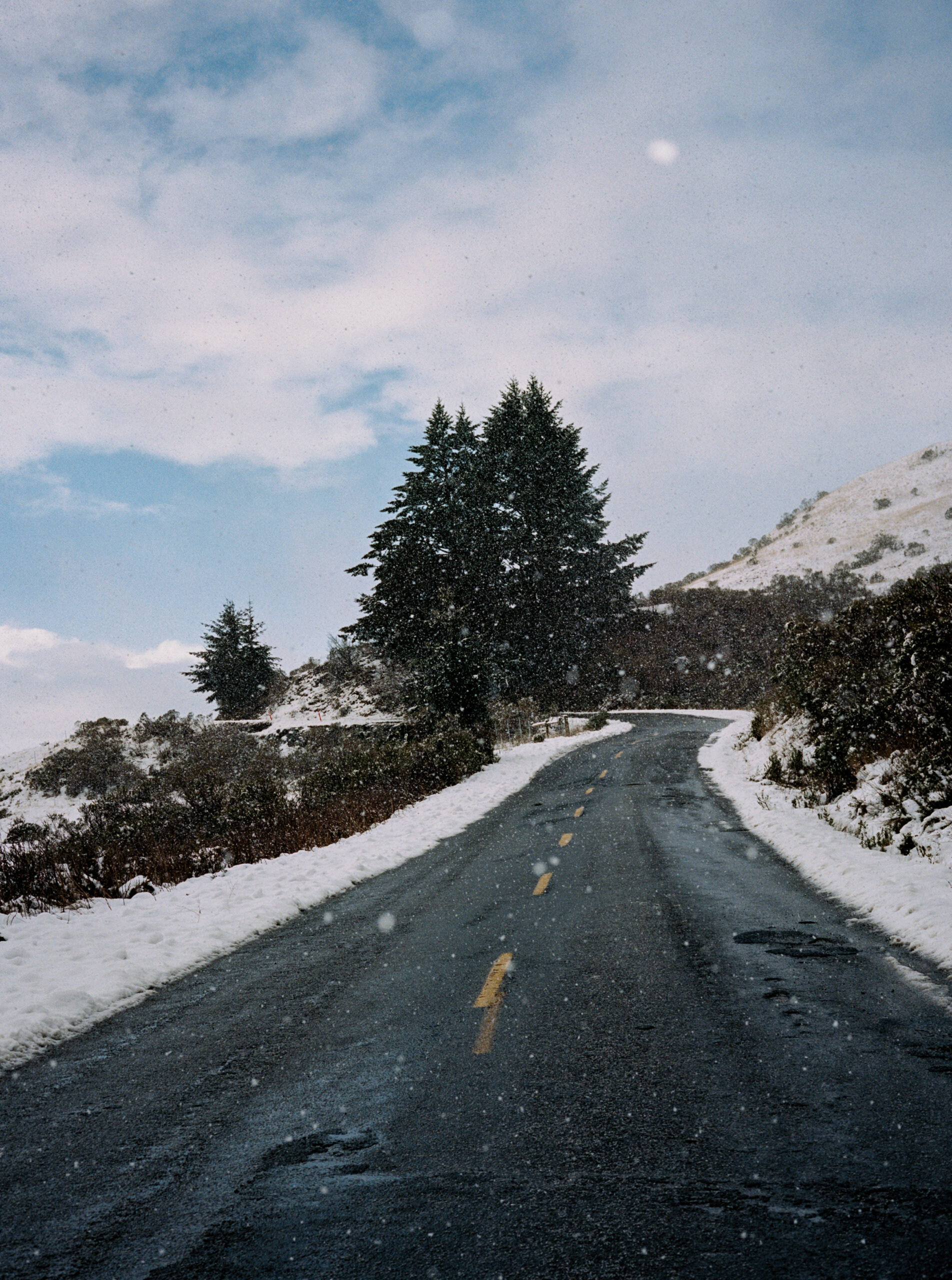 beautiful film photography from Taylor McCutchan Photography