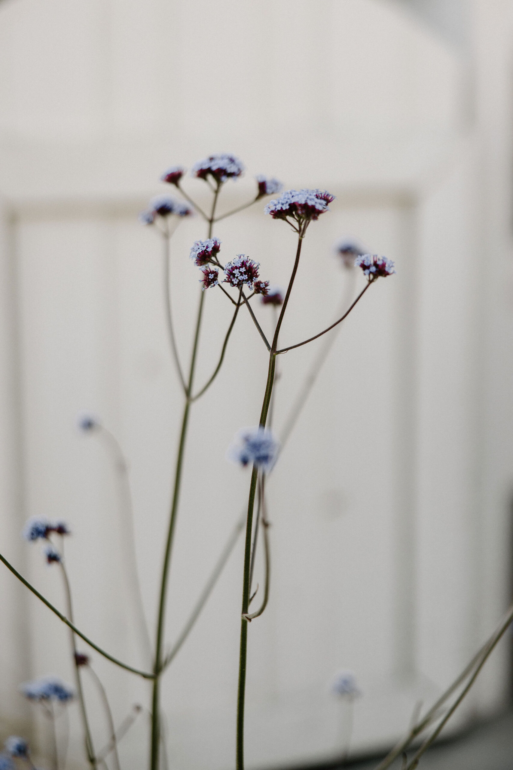 beautiful wedding details of a perfect winery wedding day in Sonoma