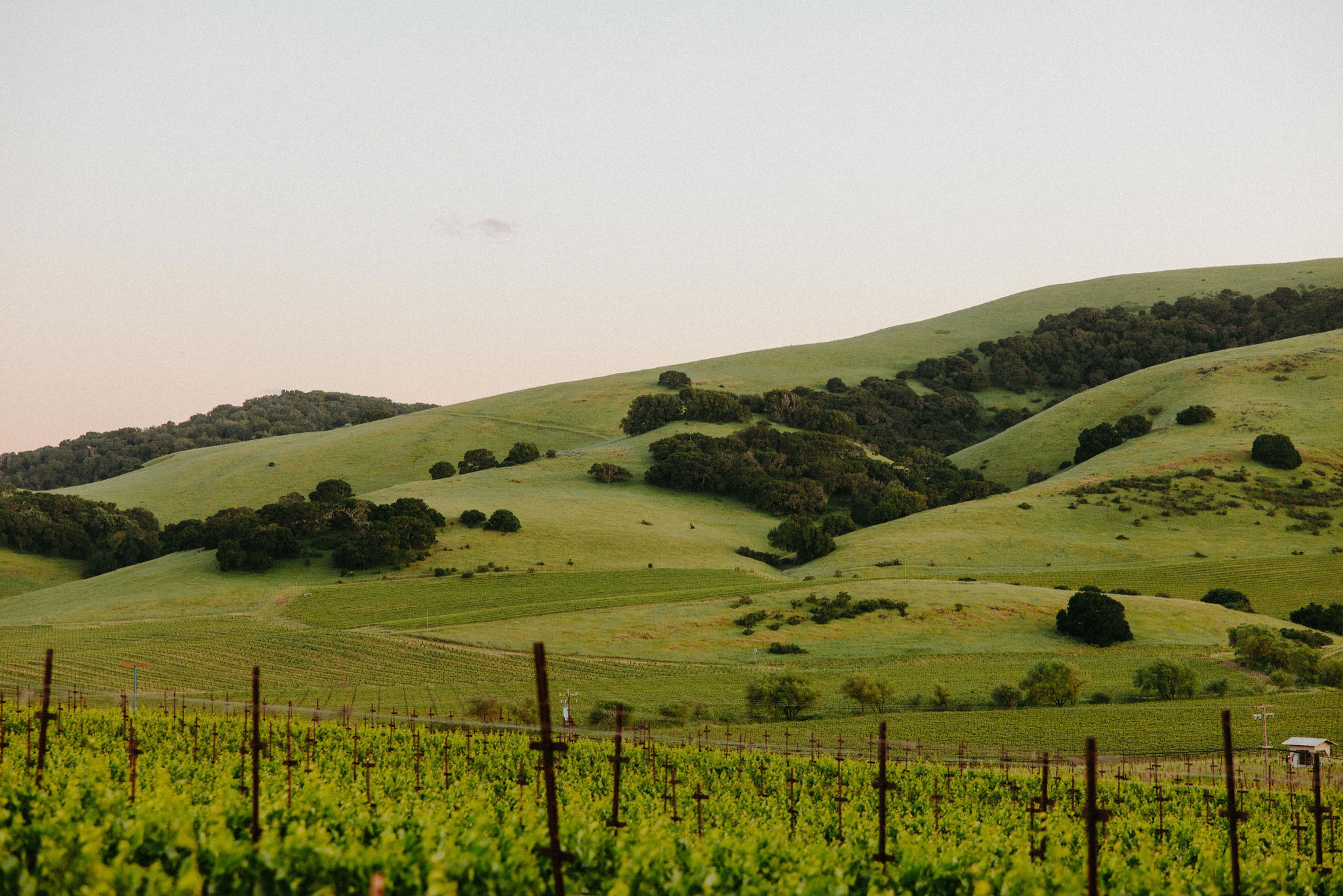 candid wedding from a California wedding day