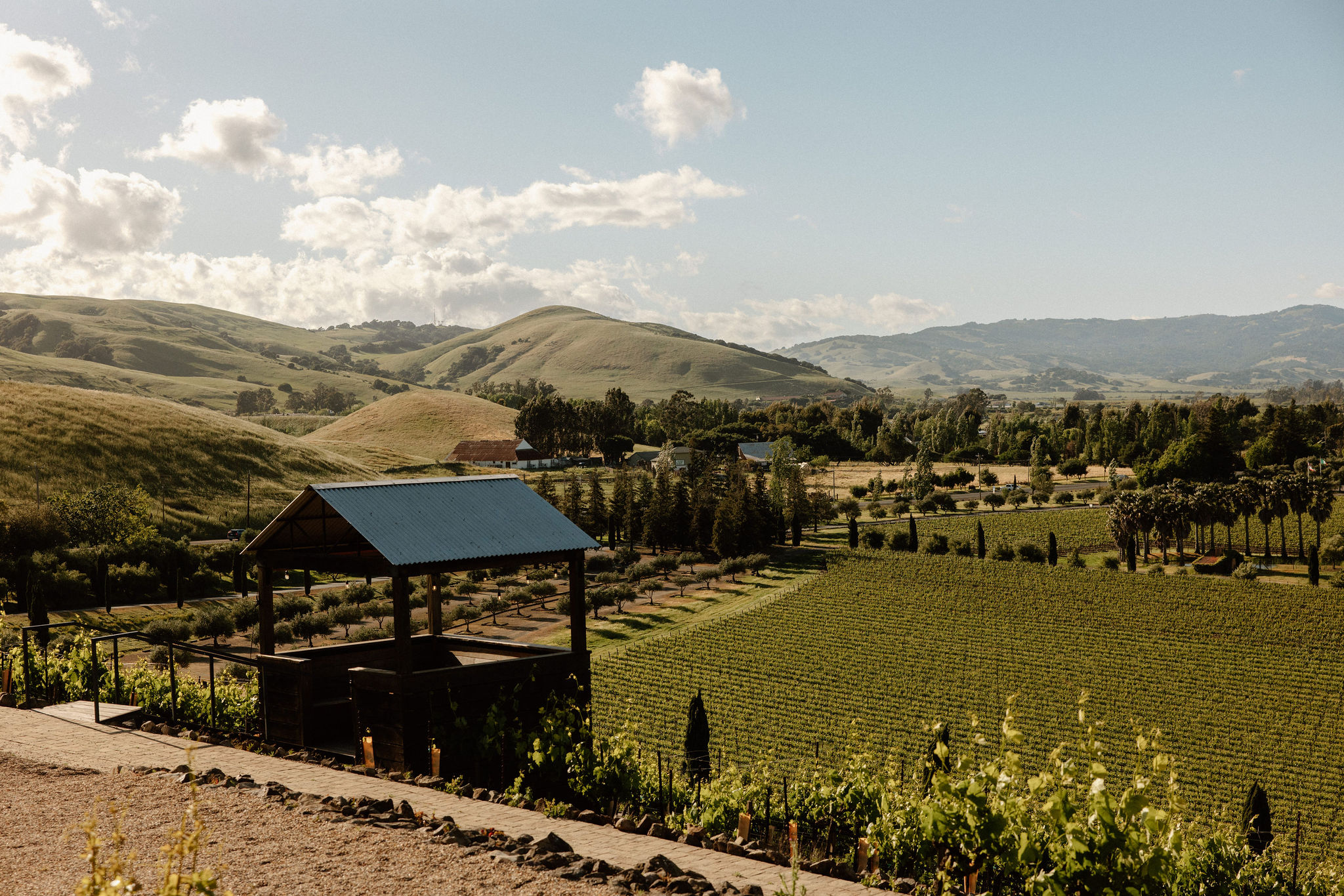 stunning documentary style wedding photography from a perfect Sonoma county winery wedding day