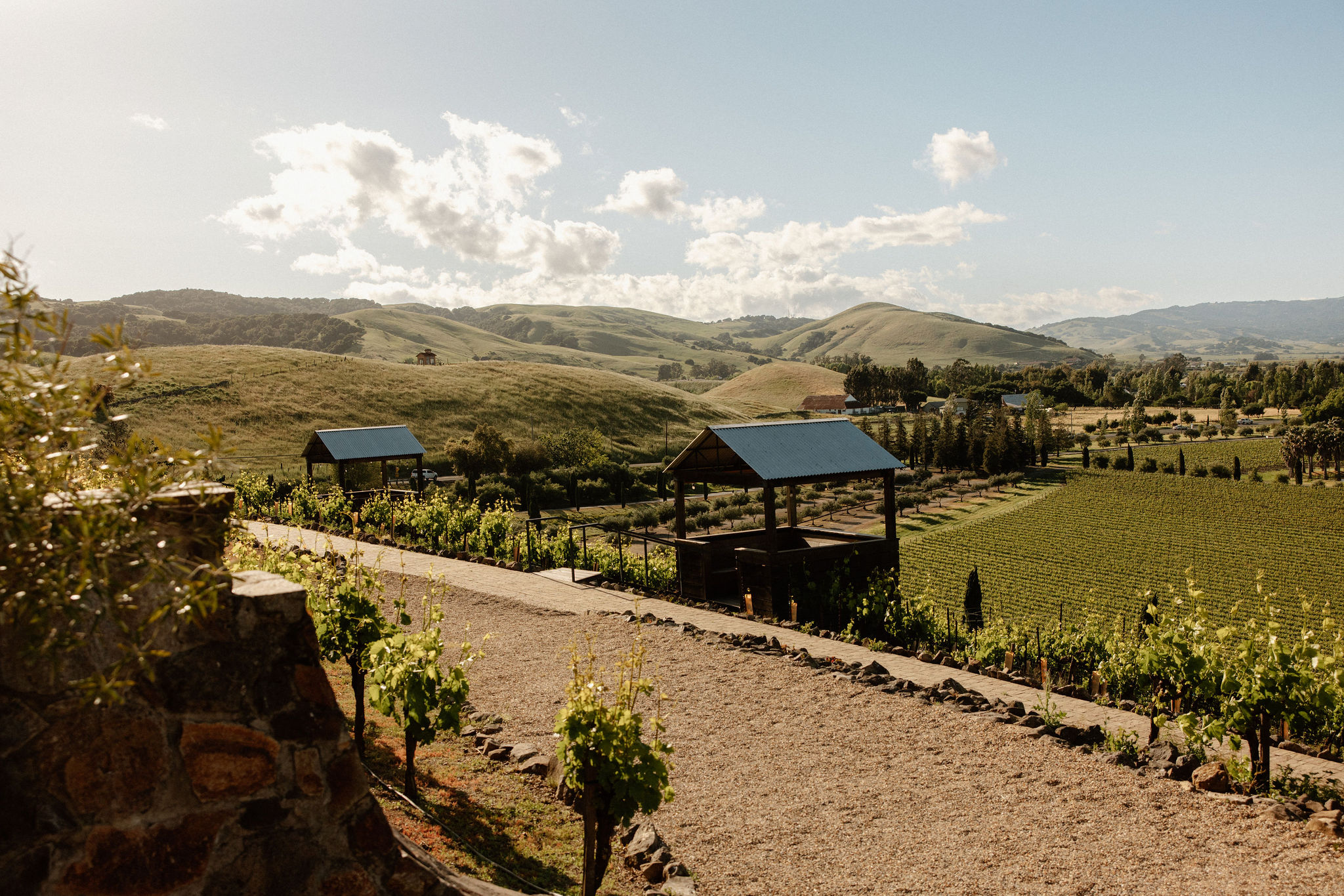 stunning documentary style wedding photography from a perfect Sonoma county winery wedding day