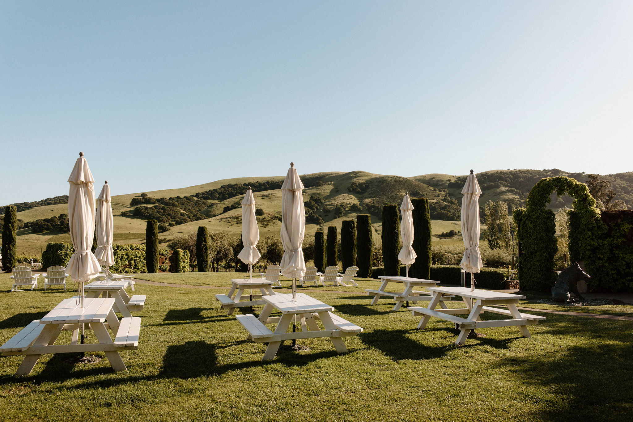 beautiful wedding details of a perfect winery wedding day in Sonoma